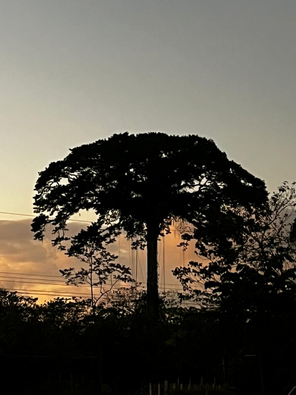 WhatsApp Image 2026-03-25 at 14.26.02