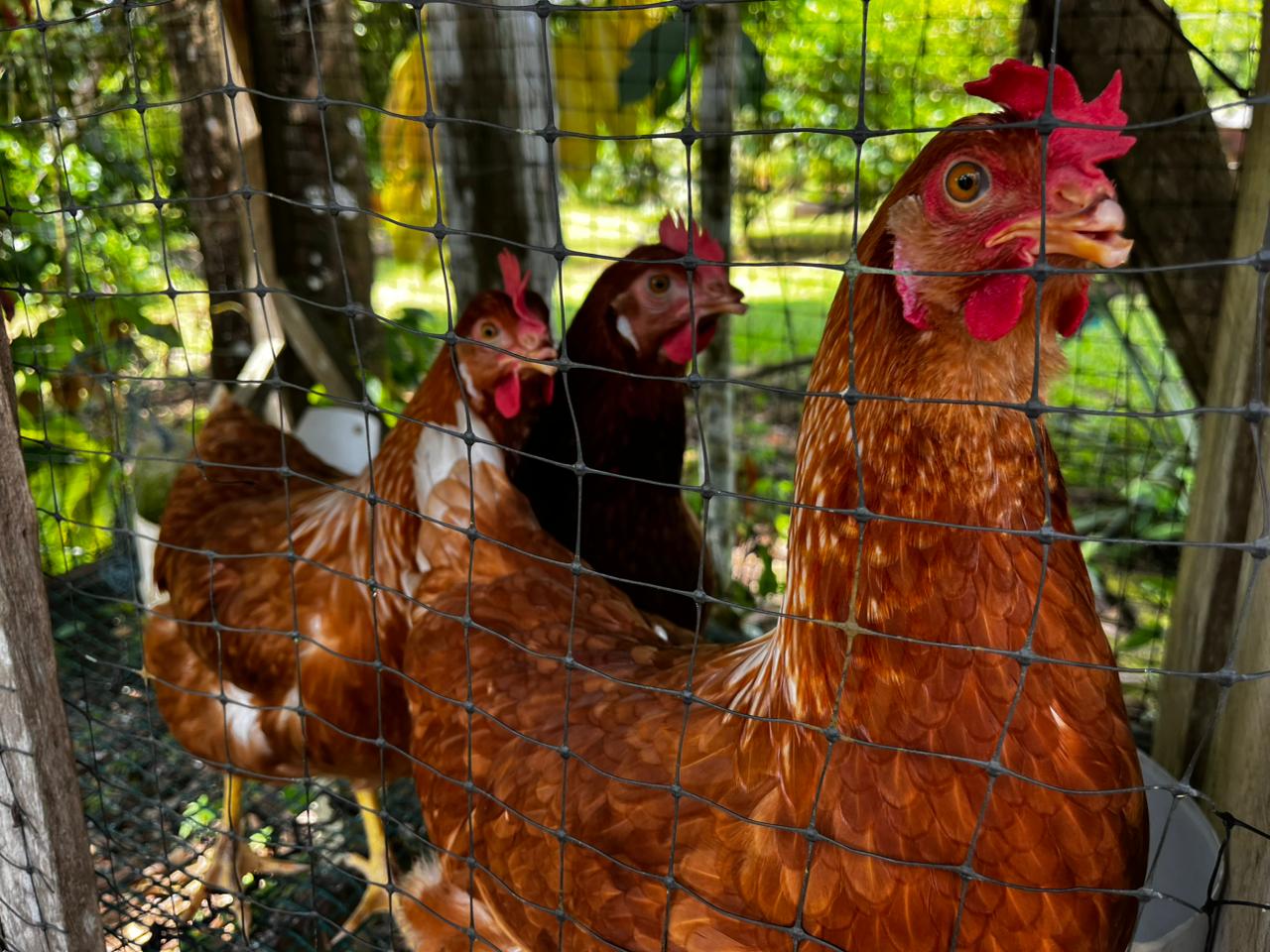 WhatsApp Image 2026-03-26 at 13.43.47 (1)