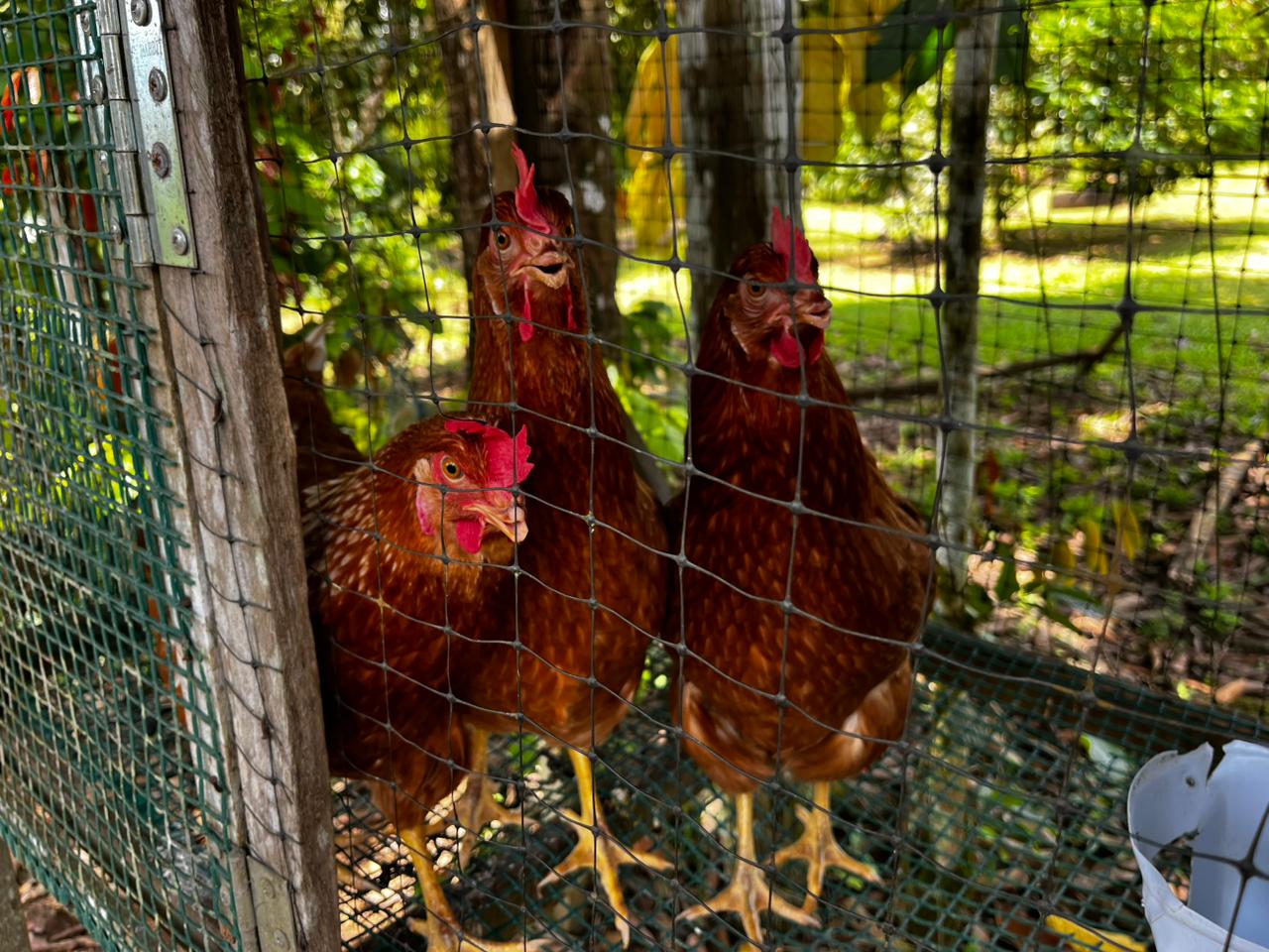 WhatsApp Image 2026-03-26 at 13.43.47 (2)